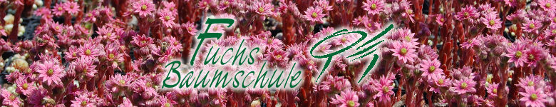 Baumschule Fuchs